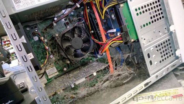 ���������� ���������� �� �����: "� ����� ���� ������" (31 ����)