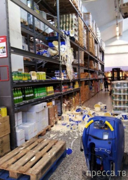 ���������� ���������� �� �����: "� ����� ���� ������" (31 ����)