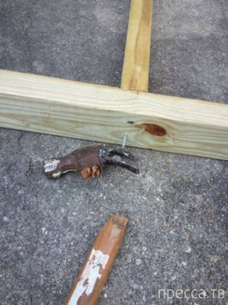 ���������� ���������� �� �����: "� ����� ���� ������" (31 ����)