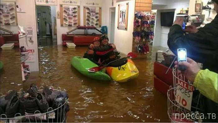 ���������� ���������� �� �����: "� ����� ���� ������" (31 ����)