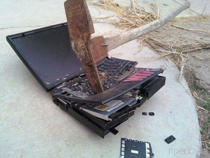 ���������� ���������� �� �����: "� ����� ���� ������" (31 ����)