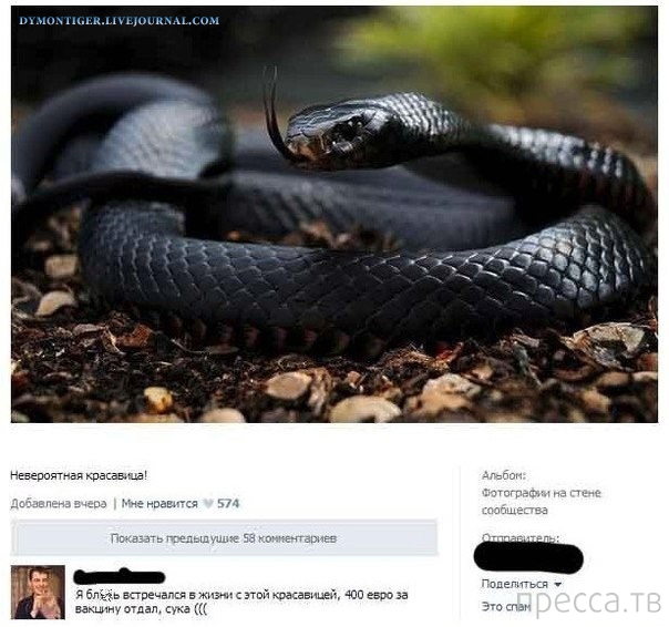 ���������� ����������� �� ���������� �����, ����� 71 (34 ����)