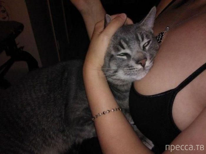 (18+) ������ �������� ��� �������� (52 ����)