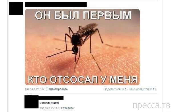 ���������� ����������� �� ���������� �����, ����� 72 (32 ����)