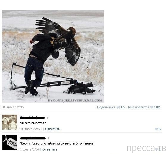 ���������� ����������� �� ���������� �����, ����� 72 (32 ����)