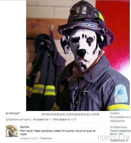 ���������� ����������� �� ���������� �����, ����� 72 (32 ����)