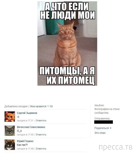 ���������� ����������� �� ���������� �����, ����� 72 (32 ����)