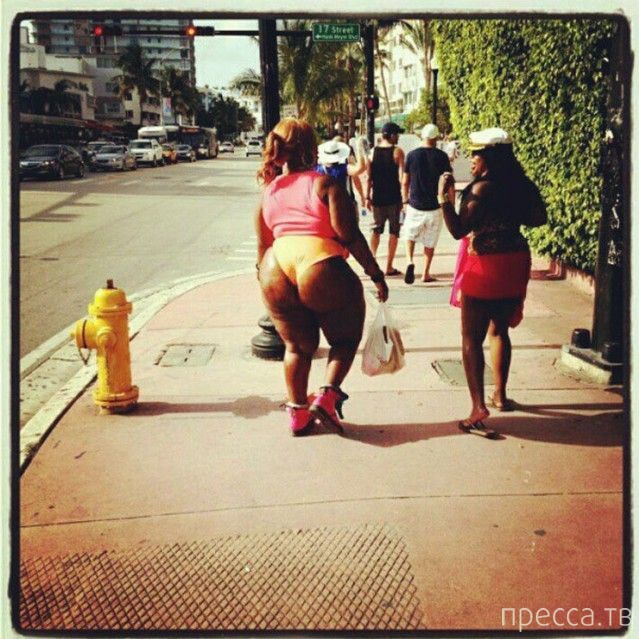 ����� �� ���������� ���������� ����� (46 ����)