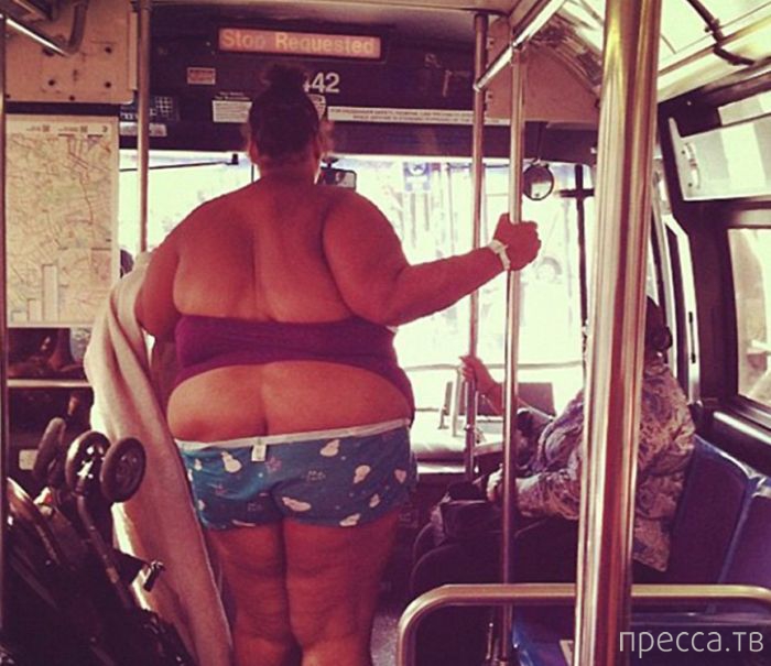 ����� �� ���������� ���������� ����� (46 ����)