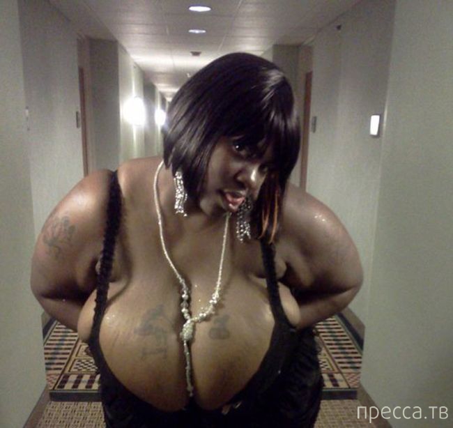 ����� �� ���������� ���������� ����� (46 ����)