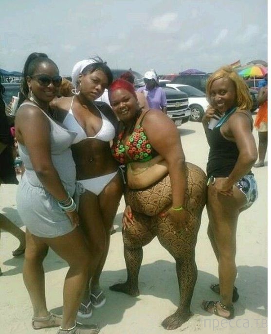 ����� �� ���������� ���������� ����� (46 ����)