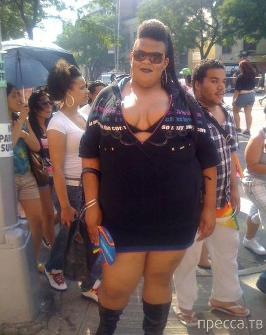 ����� �� ���������� ���������� ����� (46 ����)