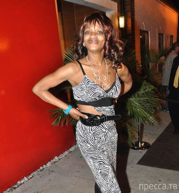 ����� �� ���������� ���������� ����� (46 ����)