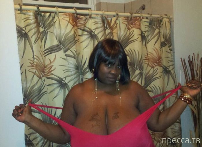 ����� �� ���������� ���������� ����� (46 ����)