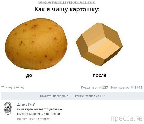 ���������� ����������� �� ���������� �����, ����� 73 (31 ����)