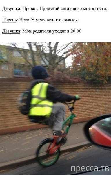 ���������� ����������� �� ���������� �����, ����� 73 (31 ����)