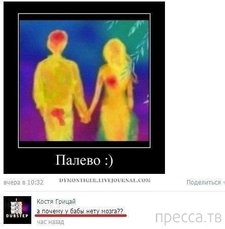 ���������� ����������� �� ���������� �����, ����� 73 (31 ����)