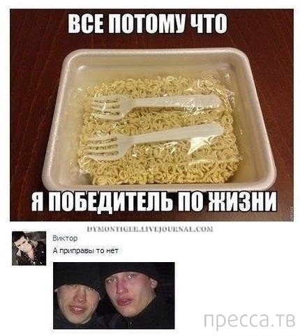 ���������� ����������� �� ���������� �����, ����� 73 (31 ����)