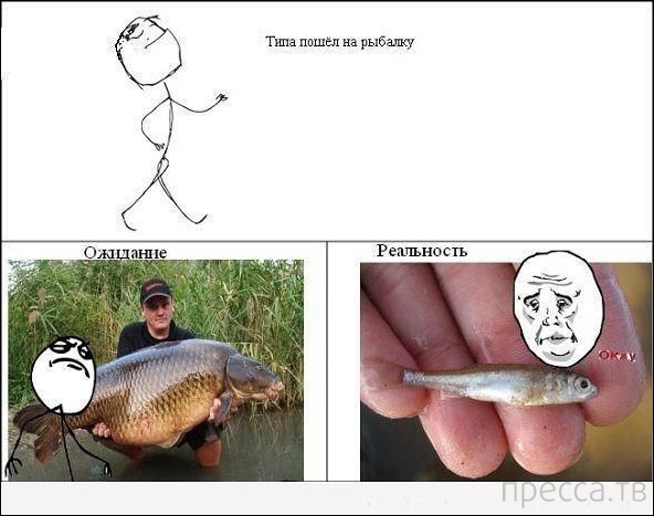 ���������� �������� �� �����: �������� - ���������� (14 ����)