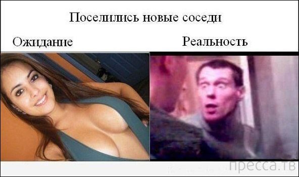 ���������� �������� �� �����: �������� - ���������� (14 ����)