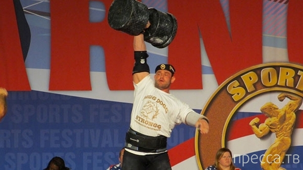 ������� ������ ������ �������� ���� ����������� ������� �������� ������������� (5 ����)