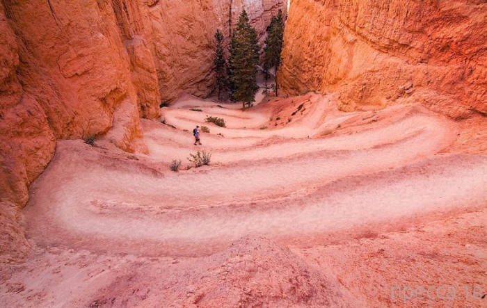 -    - (Bryce Canyon National Park),  (12 )