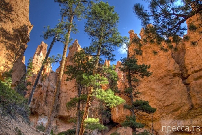 -    - (Bryce Canyon National Park),  (12 )