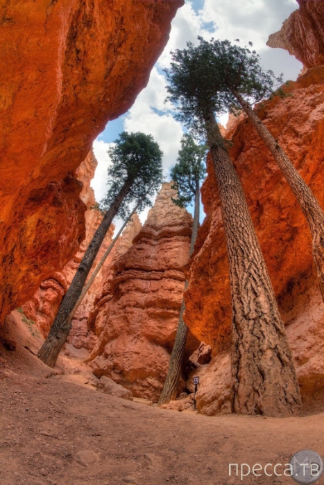 -    - (Bryce Canyon National Park),  (12 )