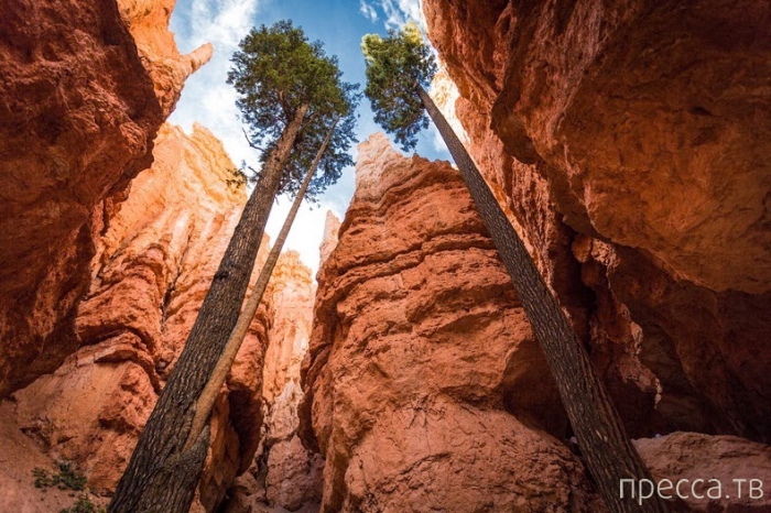 -    - (Bryce Canyon National Park),  (12 )