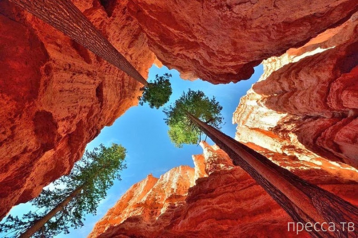 -    - (Bryce Canyon National Park),  (12 )