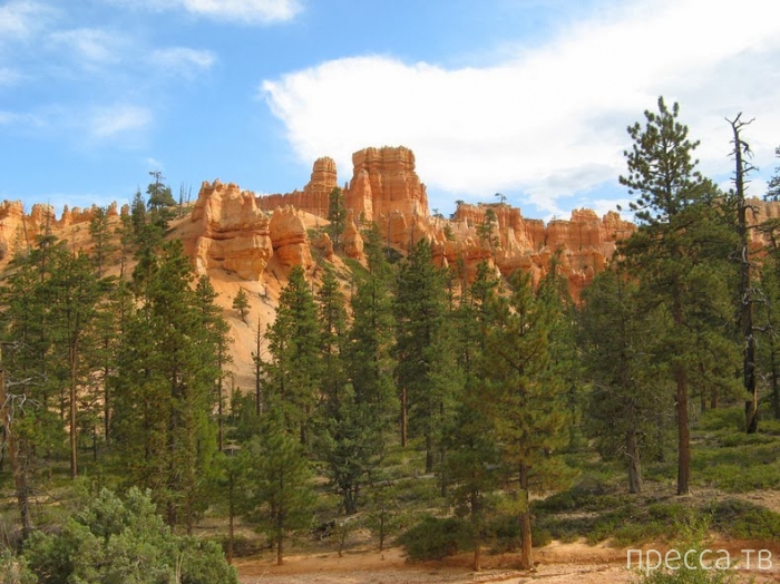 -    - (Bryce Canyon National Park),  (12 )