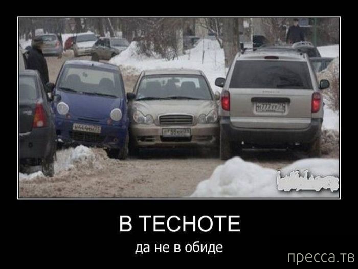 ����� ������� ������������, ����� 128 (41 ����)