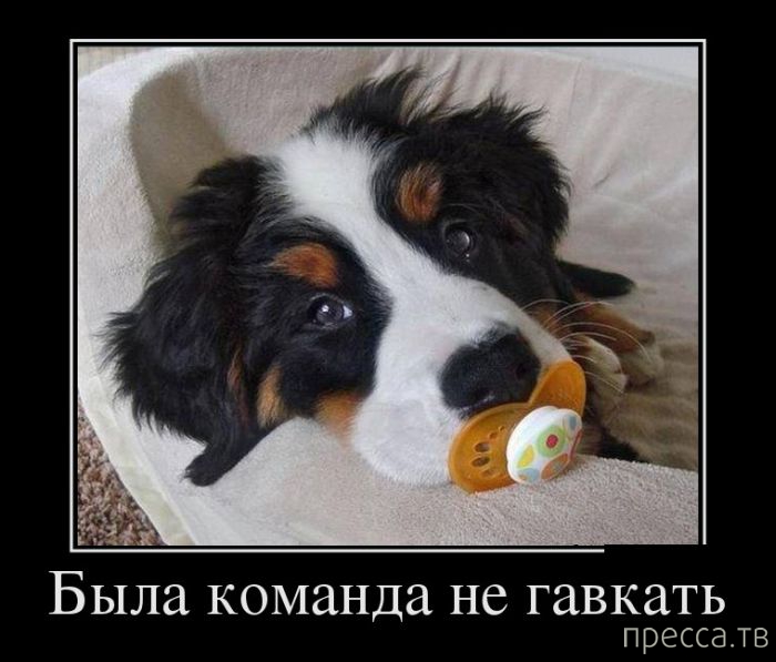 ����� ������� ������������, ����� 128 (41 ����)