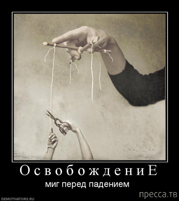 ����� ������� ������������, ����� 128 (41 ����)