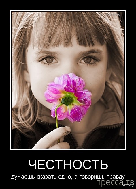 ����� ������� ������������, ����� 128 (41 ����)