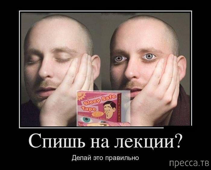 ����� ������� ������������, ����� 128 (41 ����)