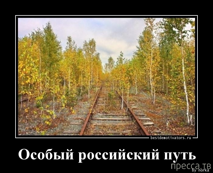 ����� ������� ������������, ����� 128 (41 ����)