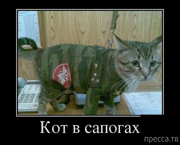 ����� ������� ������������, ����� 128 (41 ����)