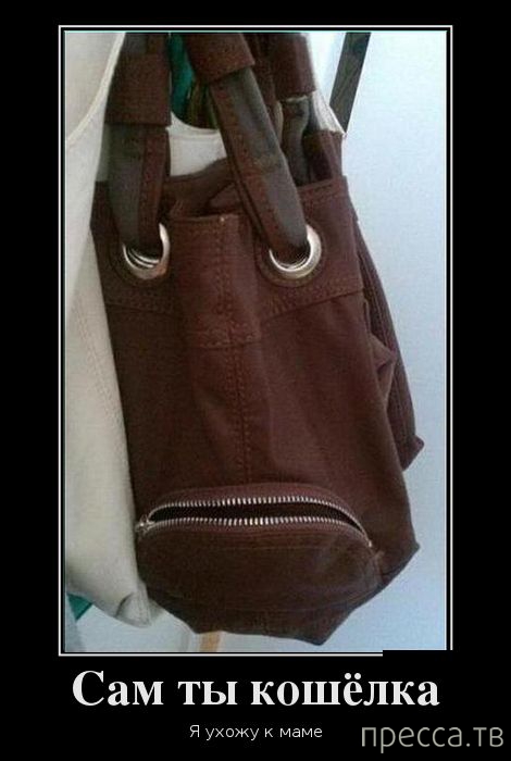 ����� ������� ������������, ����� 128 (41 ����)