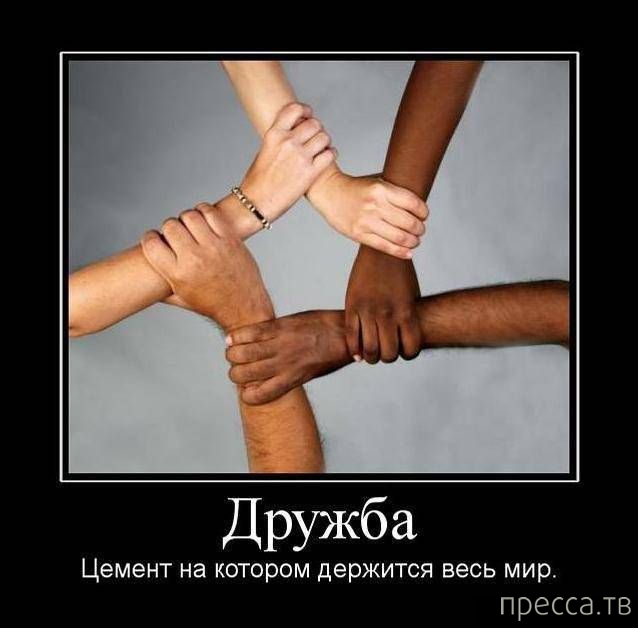 ����� ������� ������������, ����� 128 (41 ����)