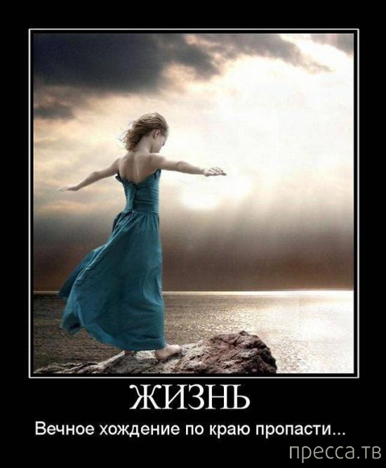 ����� ������� ������������, ����� 128 (41 ����)