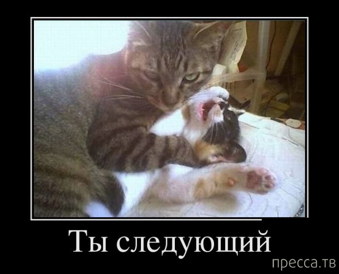 ����� ������� ������������, ����� 128 (41 ����)