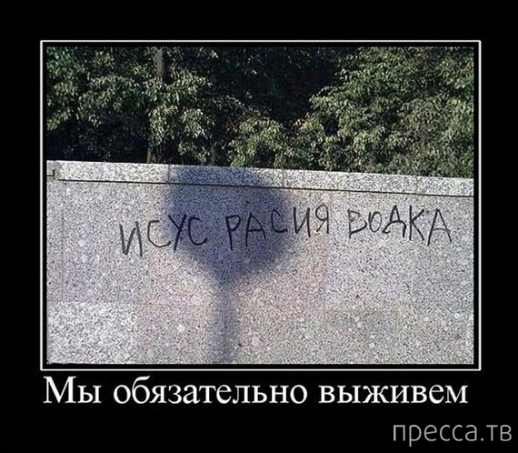 ����� ������� ������������, ����� 128 (41 ����)