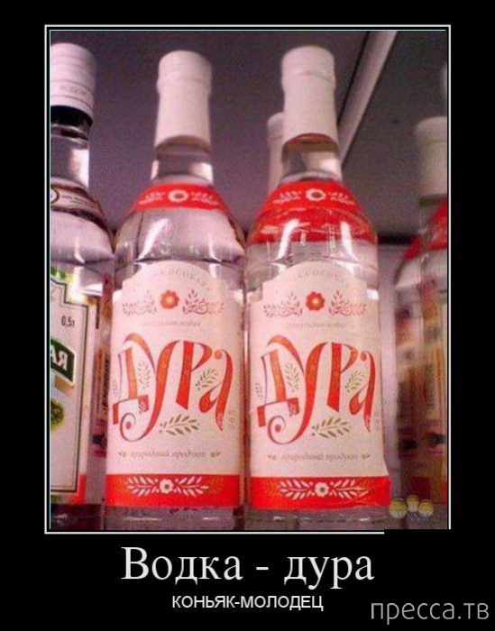 ����� ������� ������������, ����� 128 (41 ����)