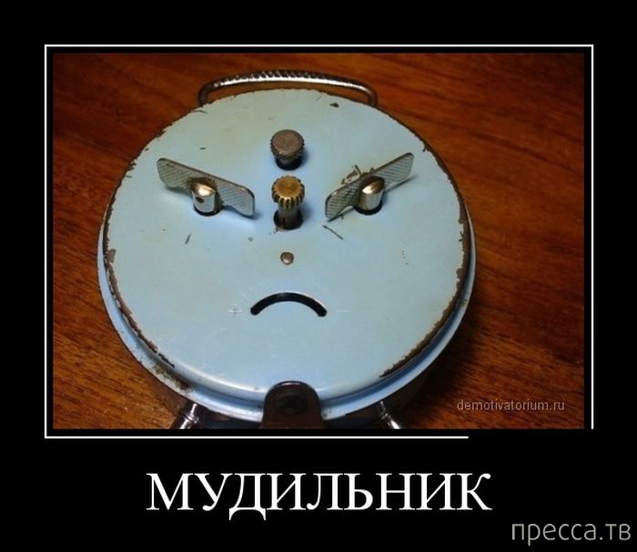 ����� ������� ������������, ����� 128 (41 ����)