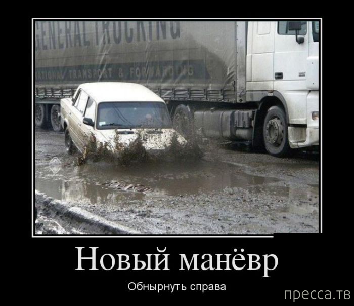 ����� ������� ������������, ����� 128 (41 ����)