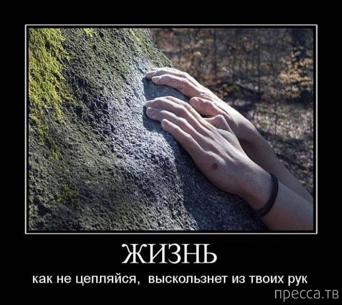 ����� ������� ������������, ����� 128 (41 ����)