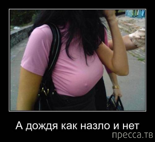 ����� ������� ������������, ����� 128 (41 ����)