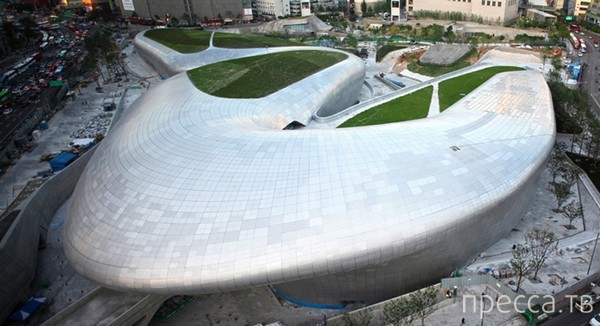 Dongdaemun Design Park & Plaza -      (7 )