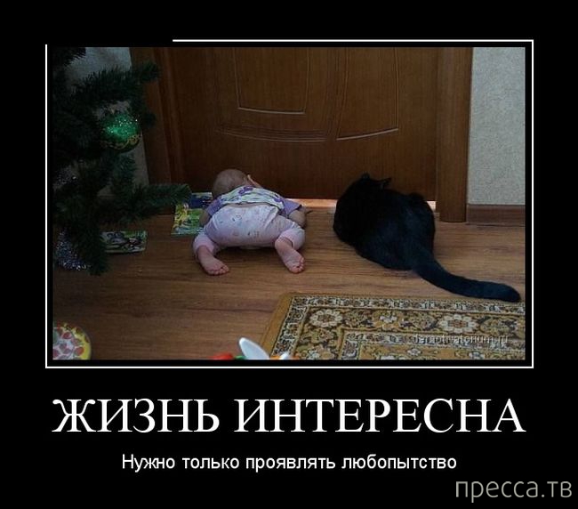 Доктор у меня кружится голова. Меньше знаешь крепче спишь. Тебе крепкий кофе. Когда хочется работать. Анекдот про кофе.